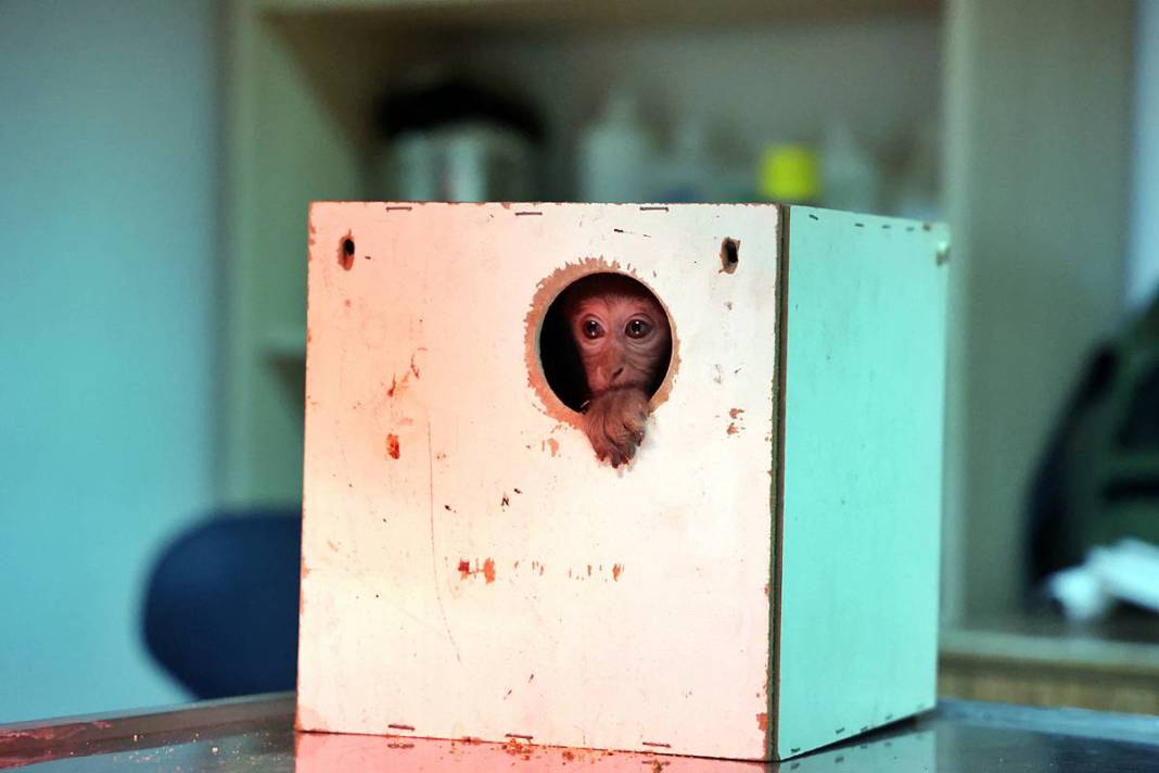 Otobüsle gönderilen koliyi kimse almayınca şoke eden gerçek ortaya çıktı! Hiç kimse bu kadar absürtlüğü tahmin edemezdi 4